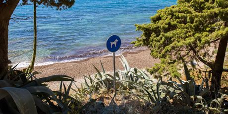 Pseće plaže - 4