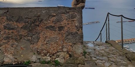 Gibraltar - 2
