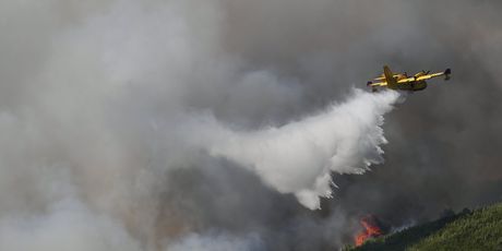 Vatrogasci i kanaderi gase veliki šumski požar u zaleđu Skradina