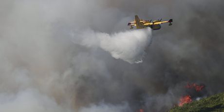 Vatrogasci i kanaderi gase veliki šumski požar u zaleđu Skradina