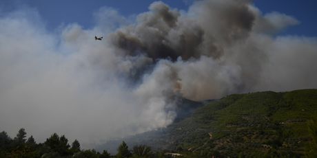 Vatrogasci i kanaderi gase veliki šumski požar u zaleđu Skradina