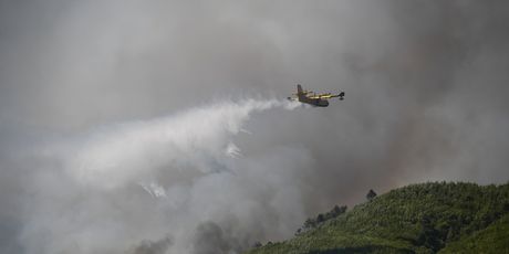 Vatrogasci i kanaderi gase veliki šumski požar u zaleđu Skradina