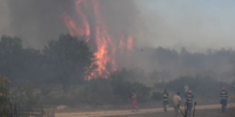 Vatrogasci i kanaderi gase veliki požar u zaleđu Skradina koji je prešao i u selo Bratiškovci - 3