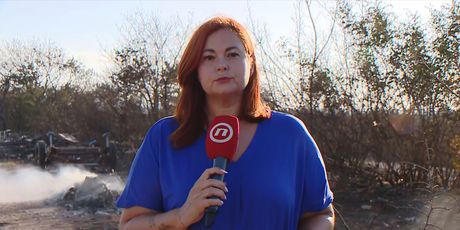 Sanja Jurišić, reporterka Nove TV