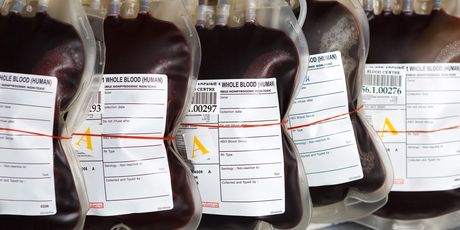 Kviz općeg znanja - 4
