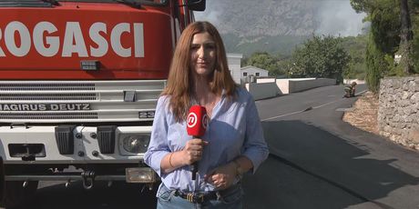 Sofija Preljvukić, reporterka Dnevnika Nove TV