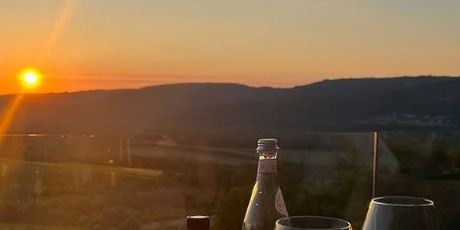 Lu Dedić na Instagramu