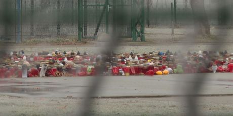Podignuta optužnica zbog slučaja Prečko - 4