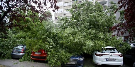 Nevrijeme rušilo stabla u Zagrebu - 6