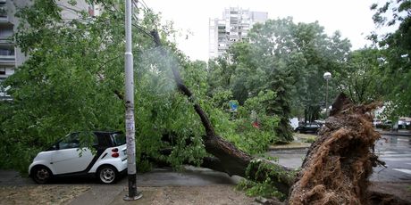 Nevrijeme rušilo stabla u Zagrebu - 8