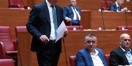 Milorad Pupovac