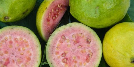 Tropsko voće guava