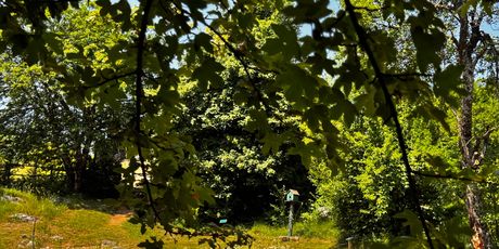 Pećinski park Grabovača - 15
