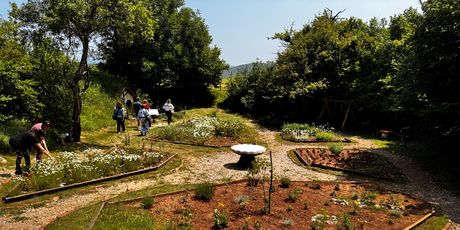 Pećinski park Grabovača - 18