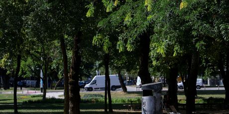 Sendviči razbacani na Bundeku - 2