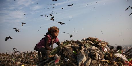 Ghazipur - 5