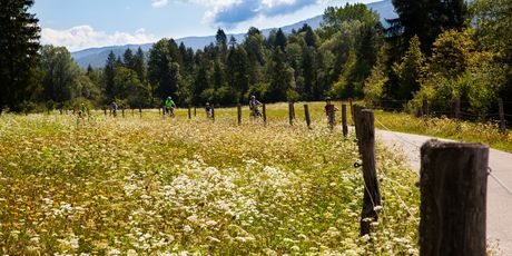 Bohinj - 2