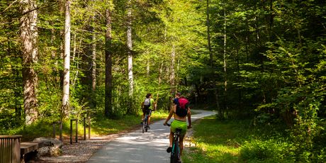 Bohinj - 4