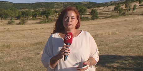 Sanja Jurišić, reporterka Nove TV