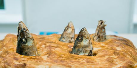 Stargazy