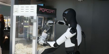 Kokice će vam poslužiti Teslin robot