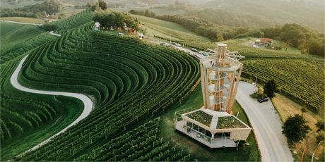 Jazz u vinogradu