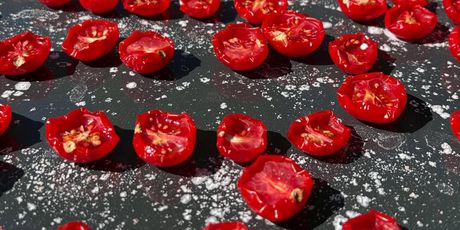 Novi hobi Mate Rimca - 5