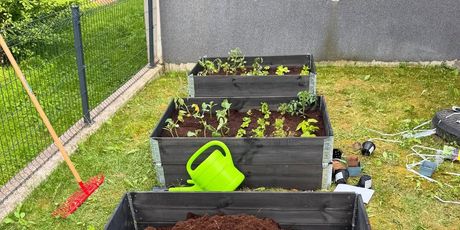 Novi hobi Mate Rimca - 6