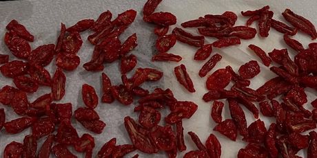 Novi hobi Mate Rimca - 8