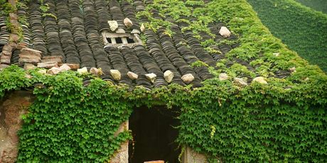 Houtouwan, Kina - 5