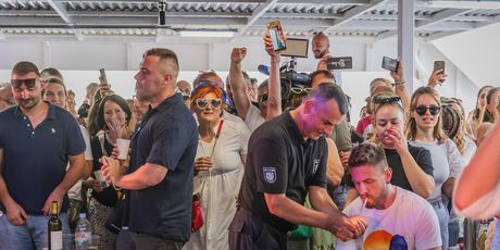 Trajekt ususret manifestaciji