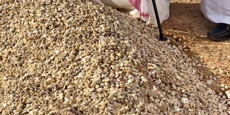 princ Al-Waleed bin Khaled bin Talal Al Saud - 1