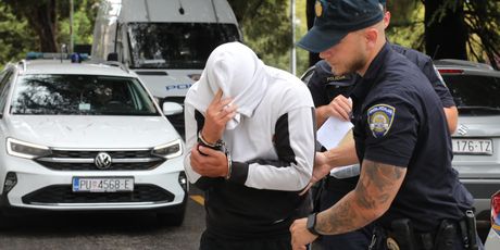 Dovođenje zaštitara na sud