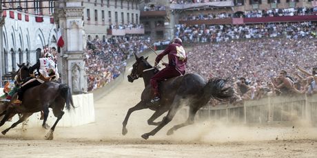 Palio - 5