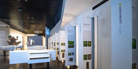 Geo Info Centar Voćin
