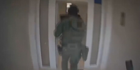 Akcija policije na Pagu - 1