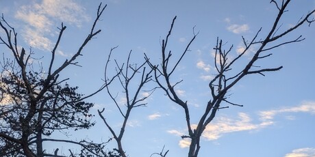 Dune du Pilat - 9