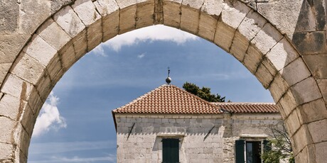 Vrana