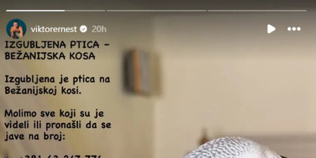 Viktor Živojinović - 2