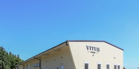Vitus - 11
