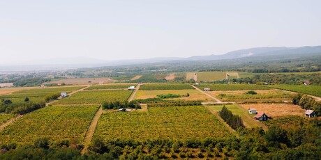 Ideš i piješ - 6