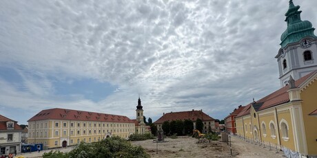 Srušena stabla lipa u Karlovcu - 2