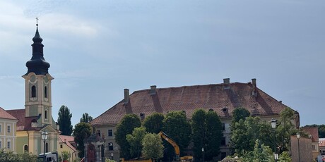 Srušena stabla lipa u Karlovcu - 4