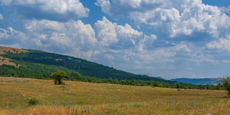 Ovčji most - 2
