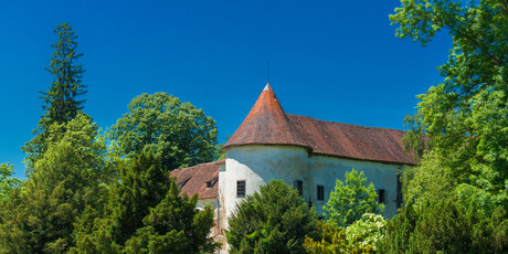 Dvorac Erdödy - 1
