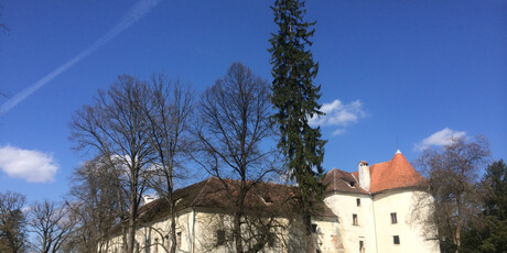 Dvorac Erdödy - 5