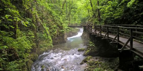 Kamačnik