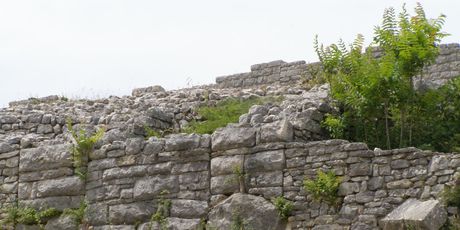 Bribirska glavica