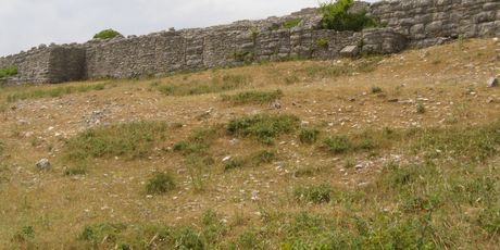 Bribirska glavica