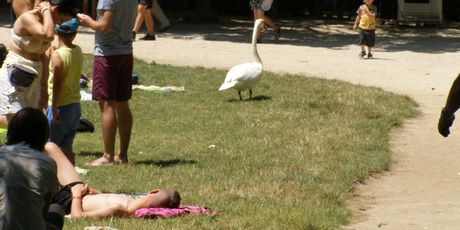 Nacionalni park Krka